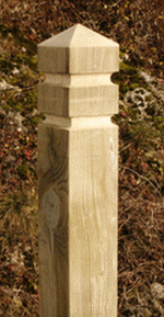 Bonre Gargas Réf. 5026
